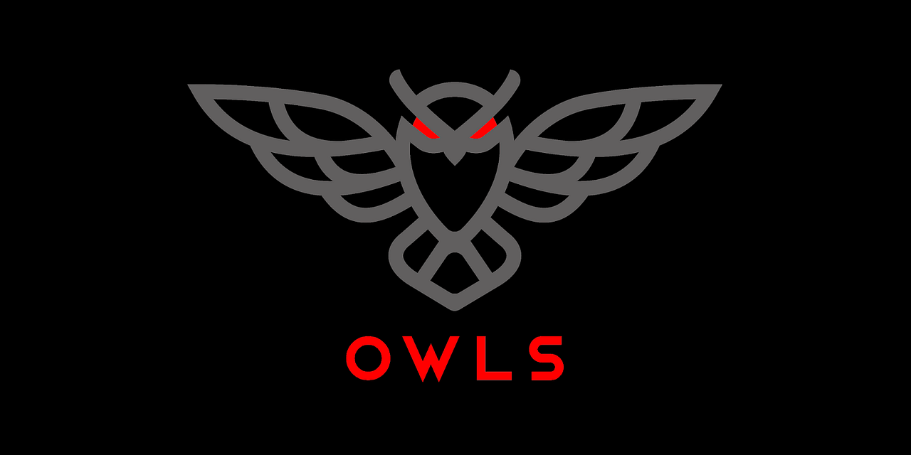 Owls Options Traders