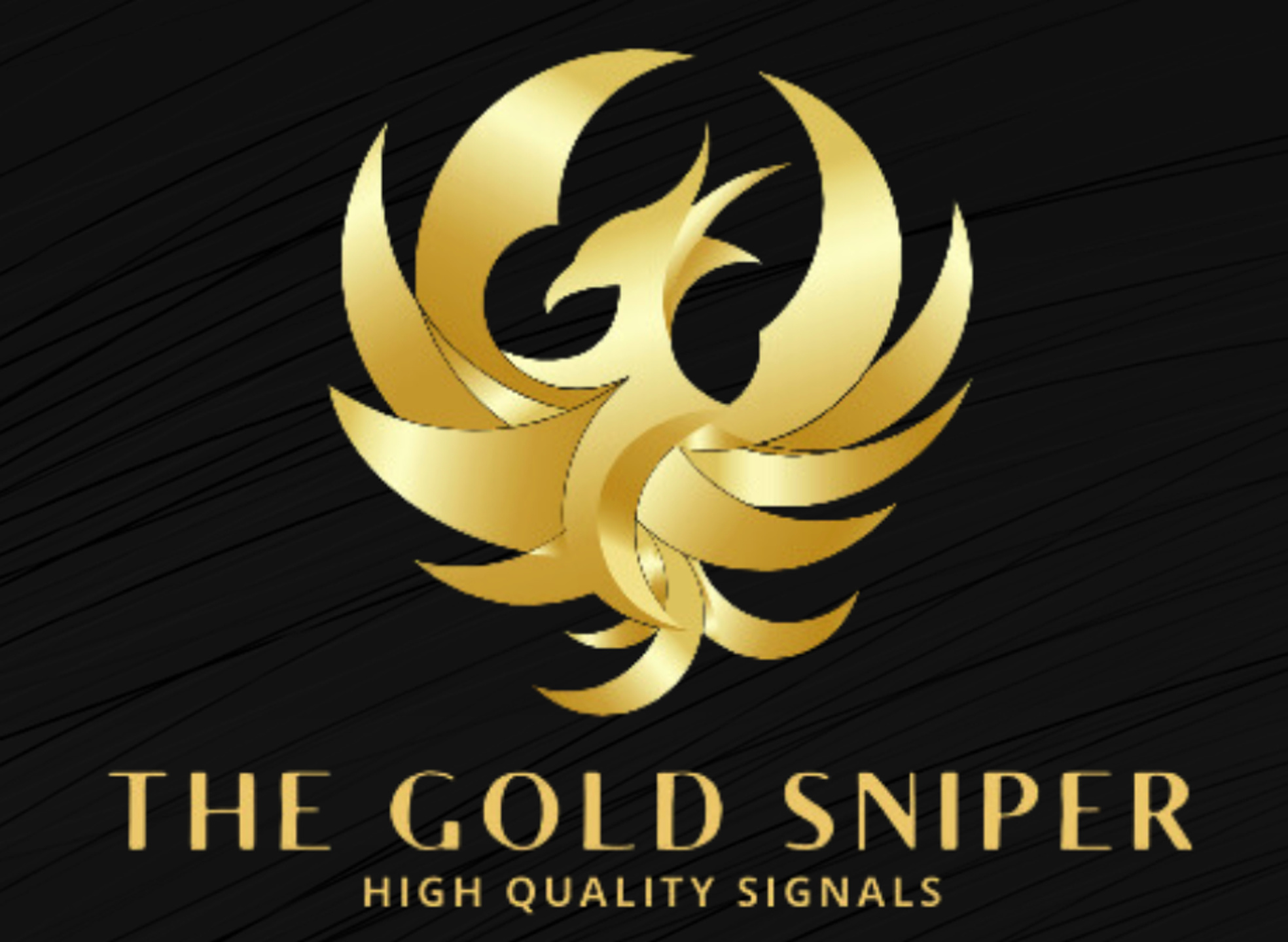 goldsnipervip