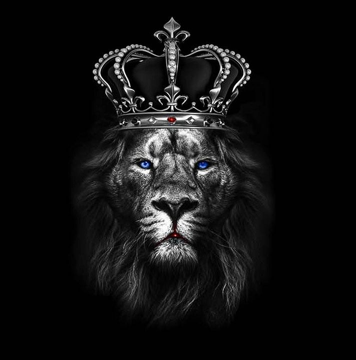 Prodigy Picks Premium 