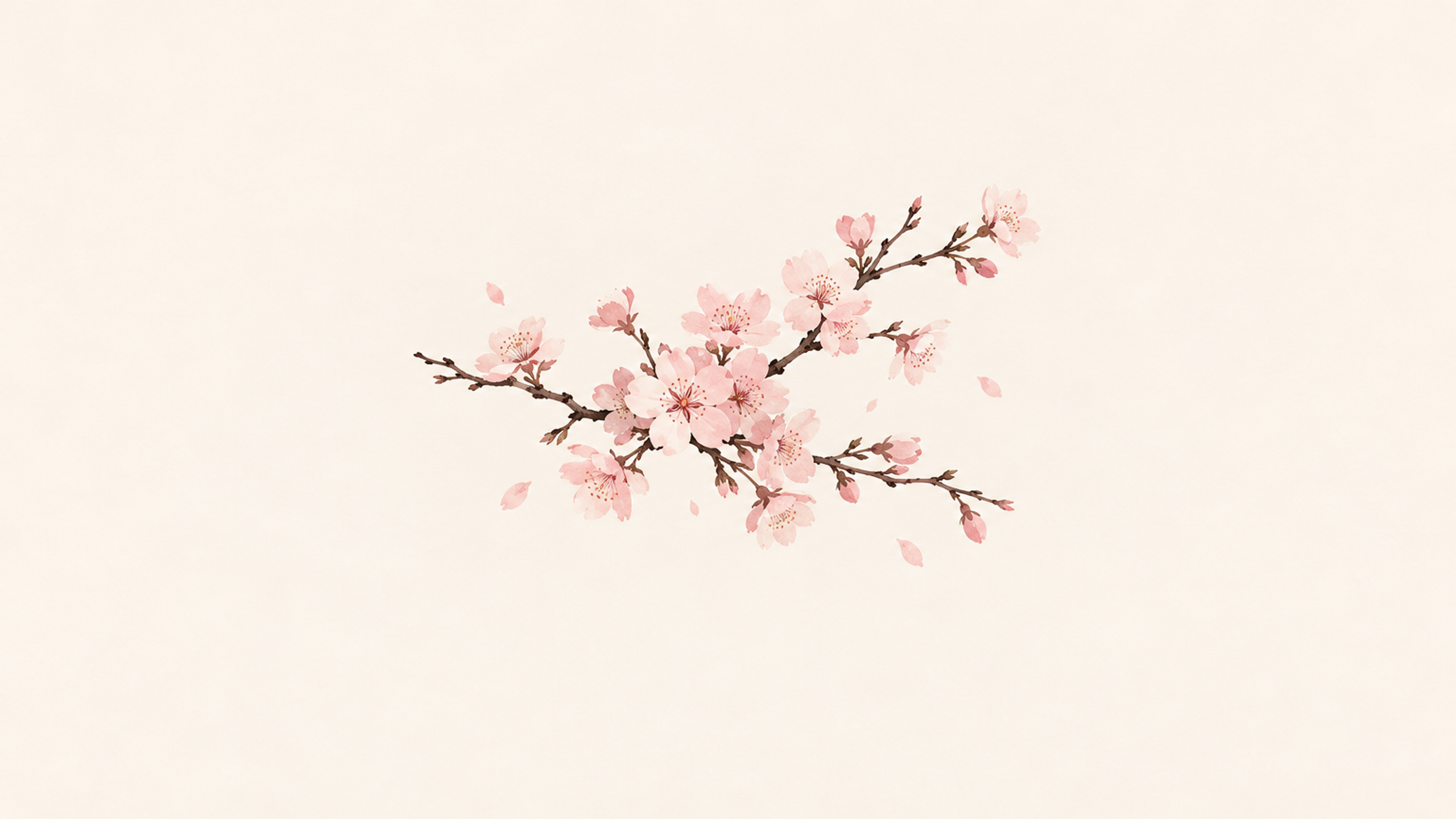 Sakura Studies