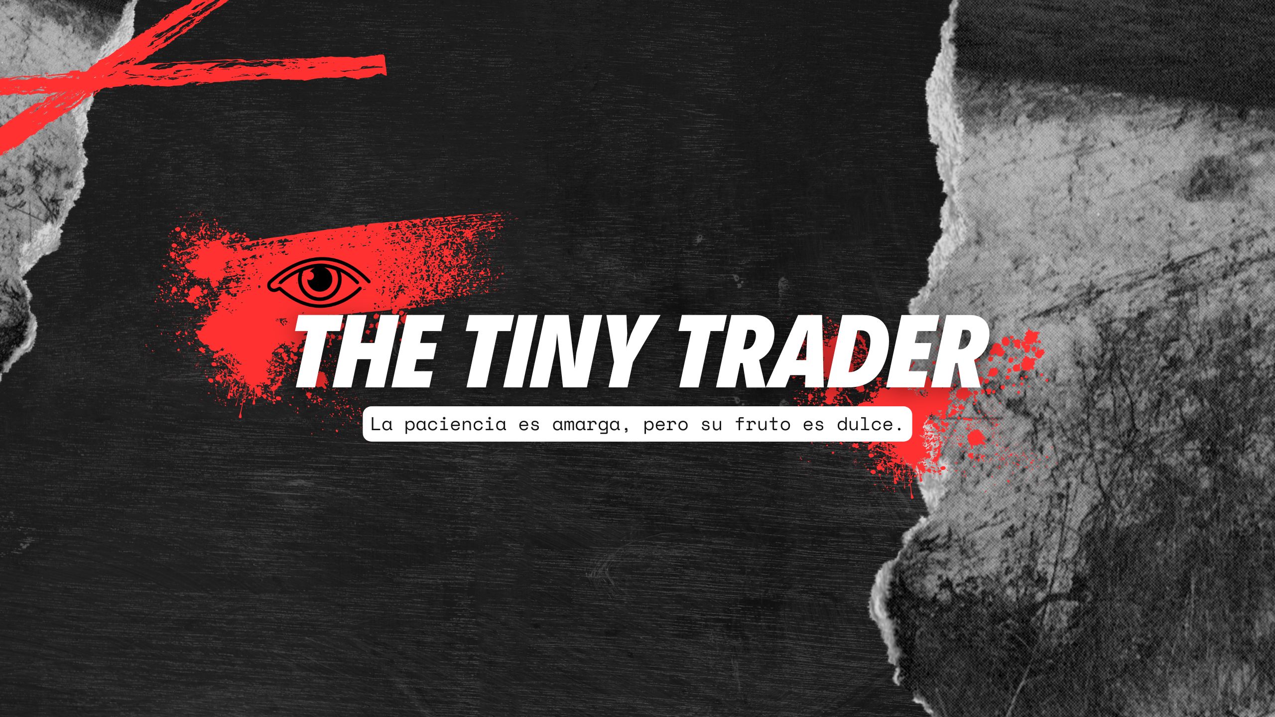 THE TINY TRADER · Live Process