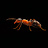 The Scalping Ant Indicator Suite logo