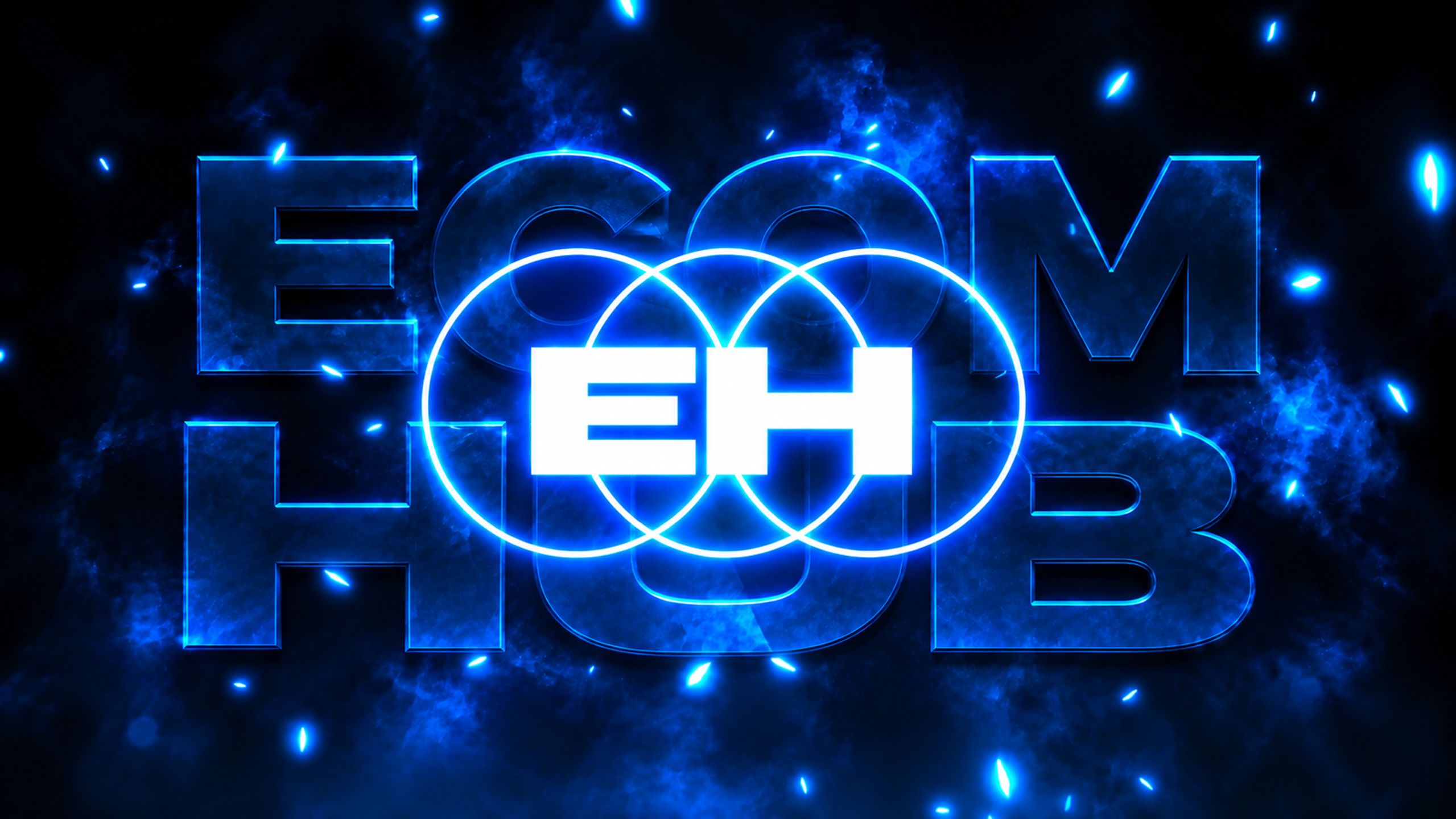 Ecom Hub