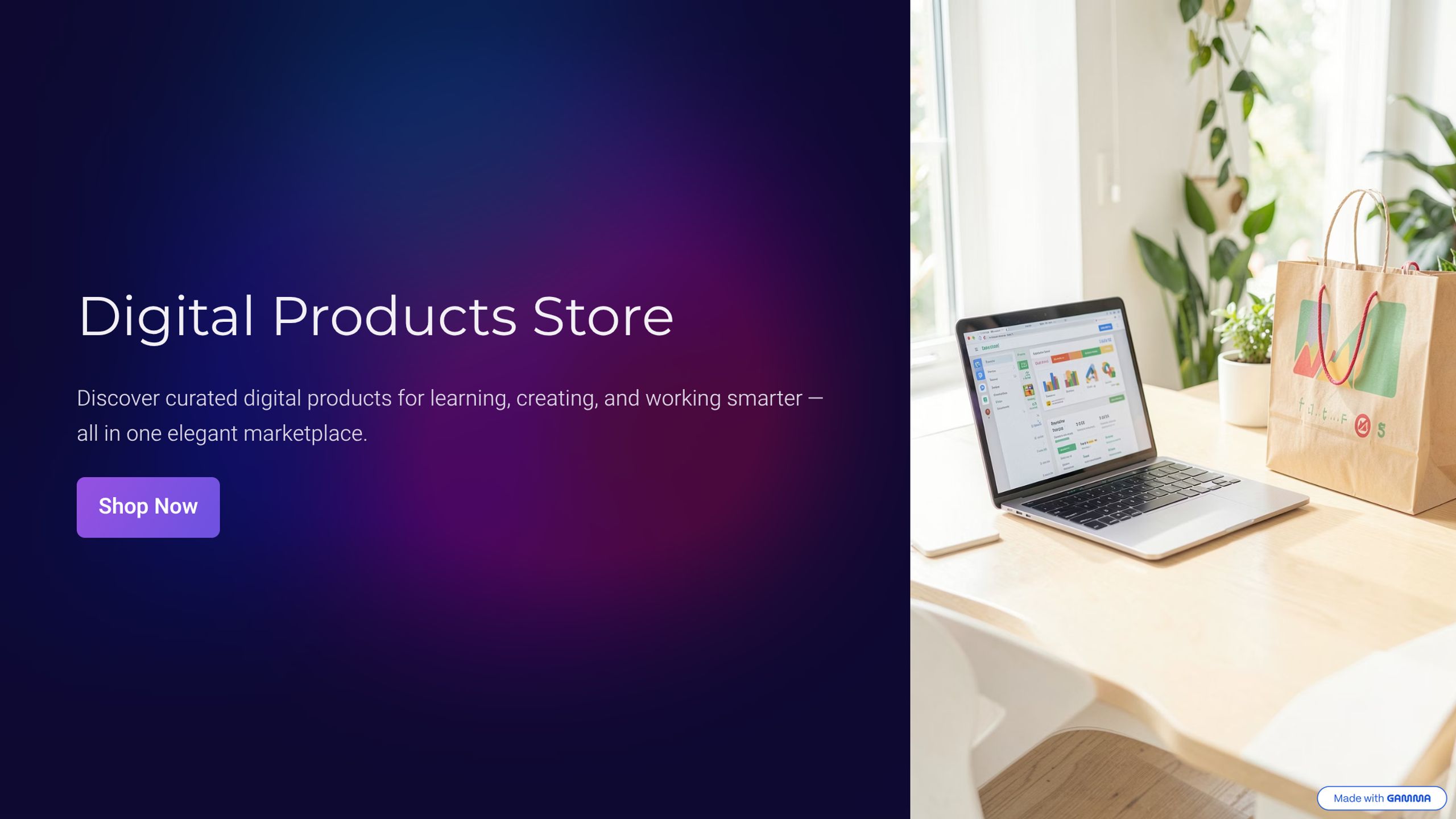 The Digital Product Store