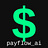 PayFlow AI logo
