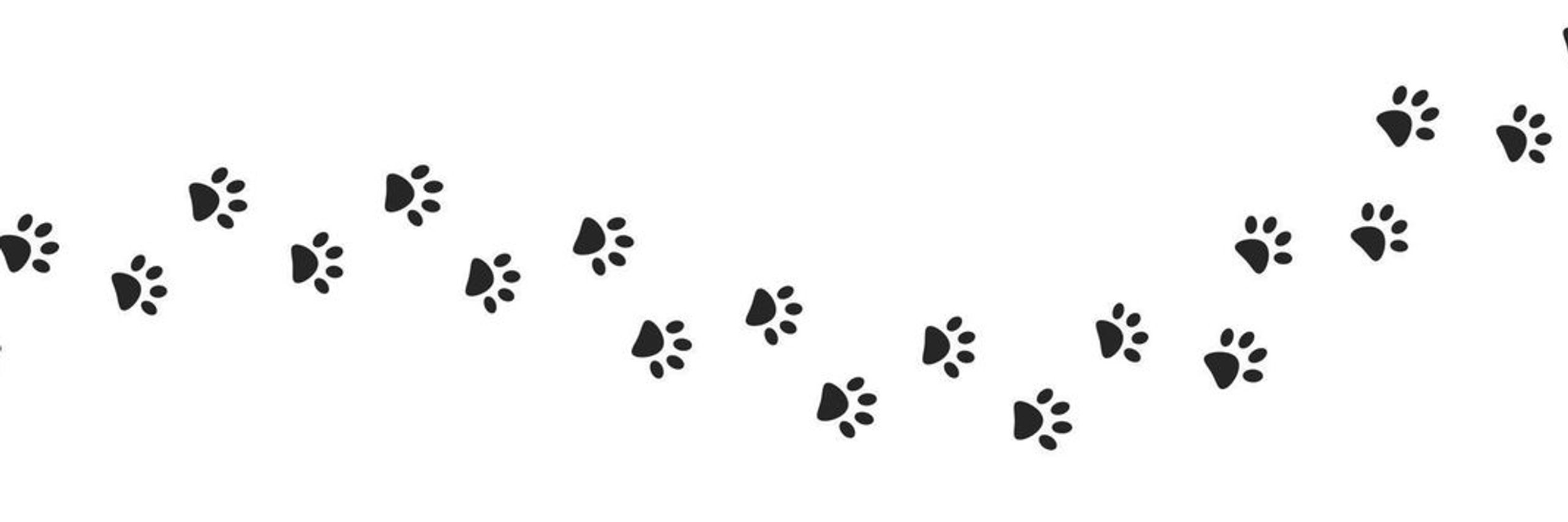 Pet Care