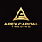 APEX Capital  logo