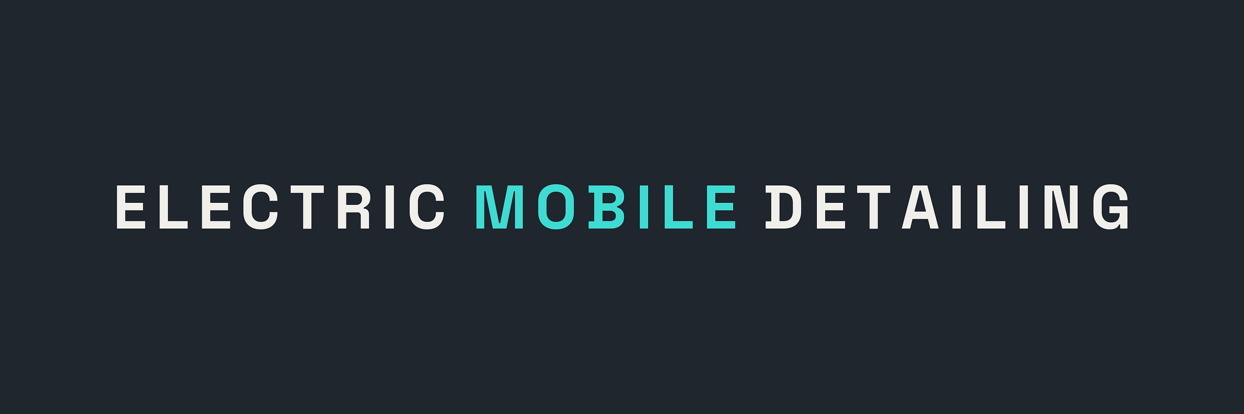 Electric Mobile Detailing
