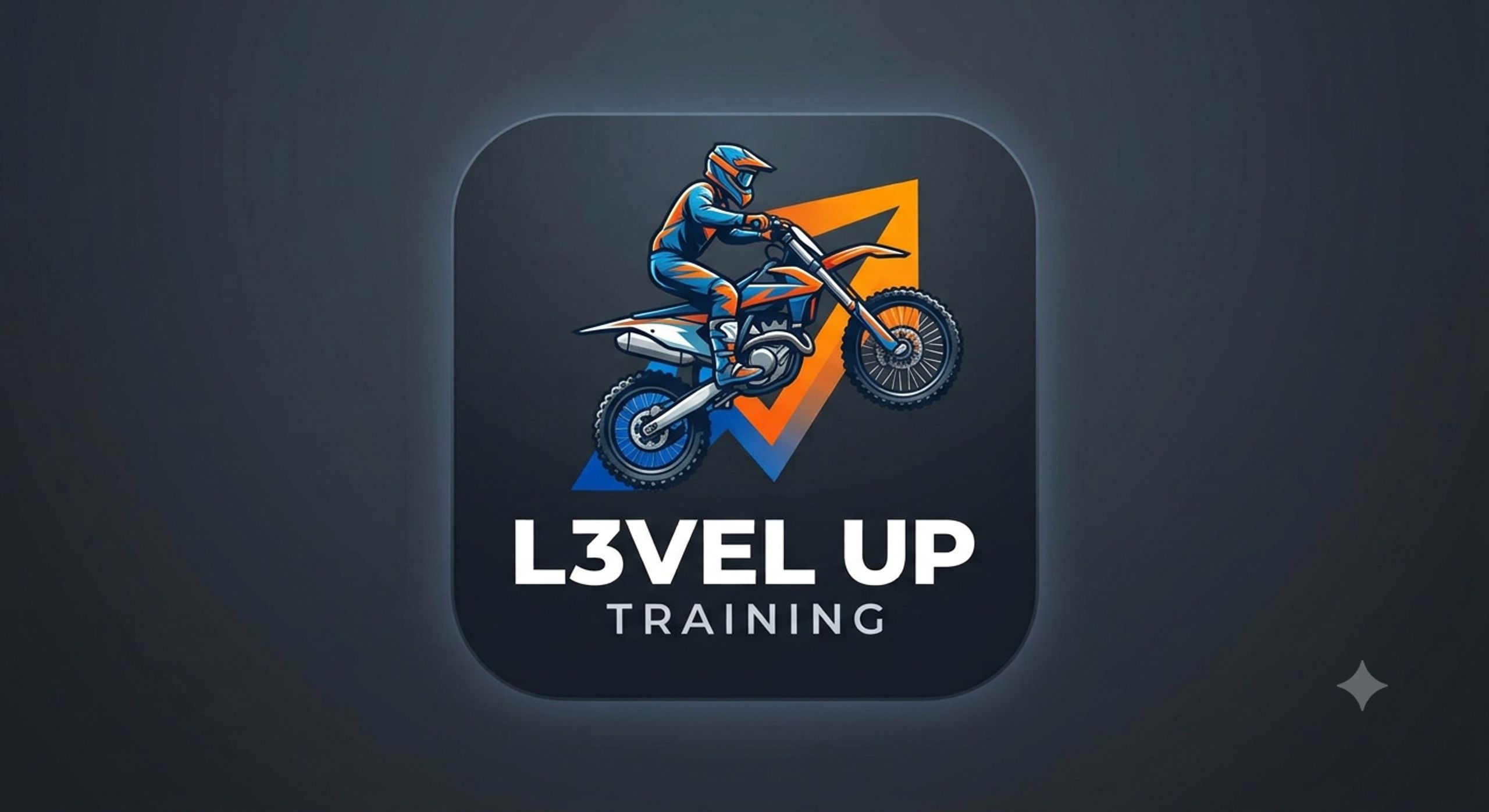 L3VELUP TRAINING