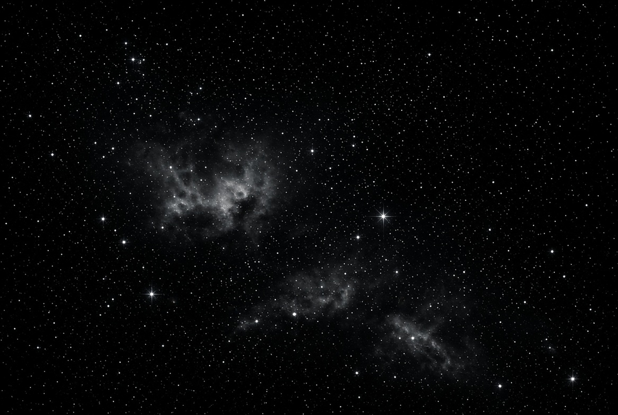 lvlSYNC