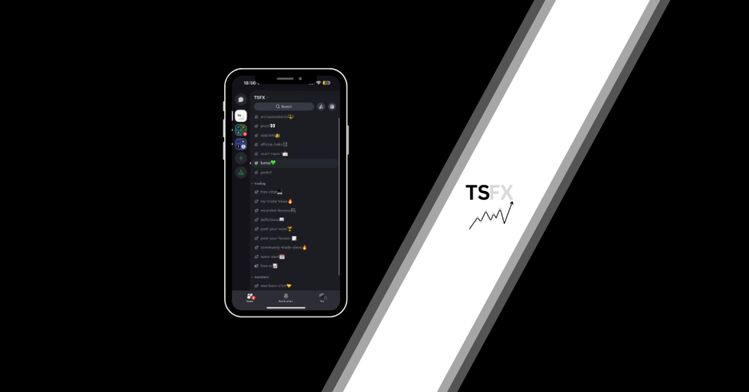 TSFX