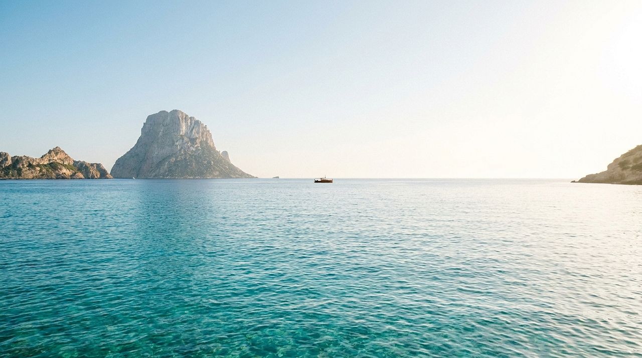 Mallorca Sea Safari