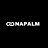 Napalm logo