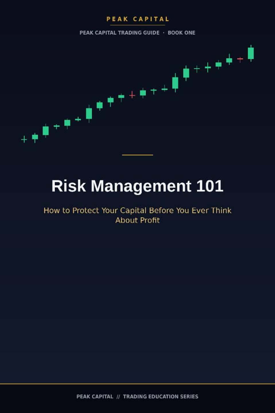 Risk Management 101