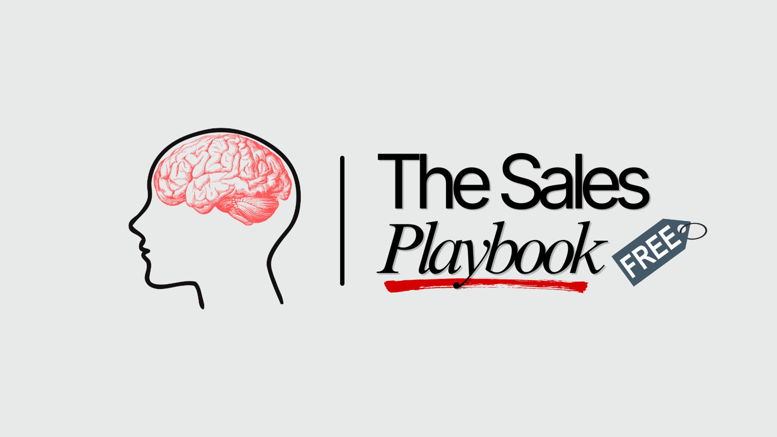 The Sales Playbook