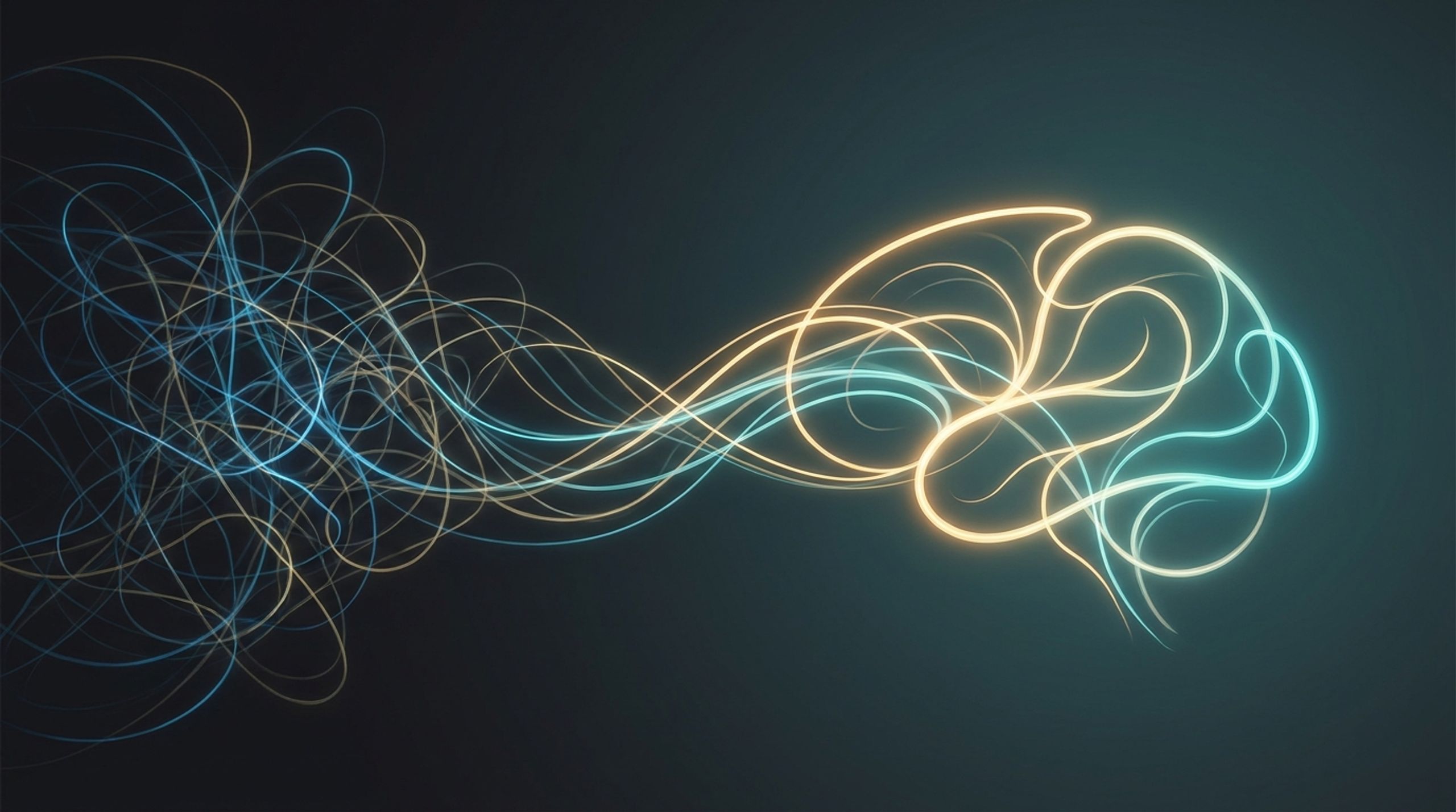 Rewire