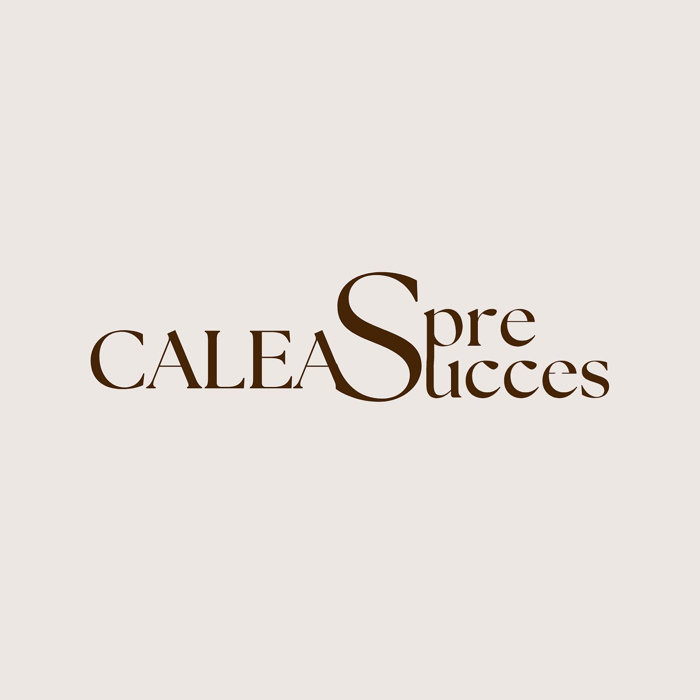 Calea spre Succes