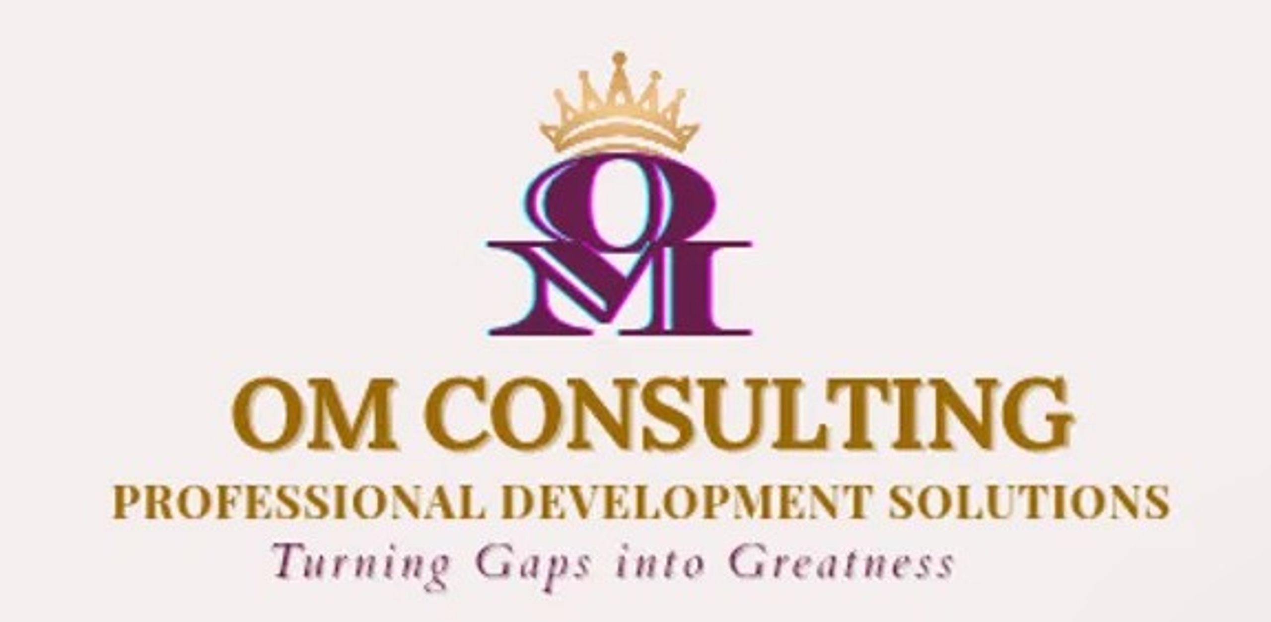 OM Consulting Professional Development