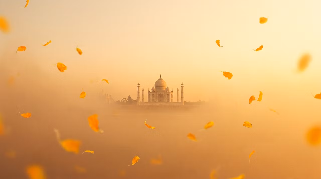 Namaste VIP Society