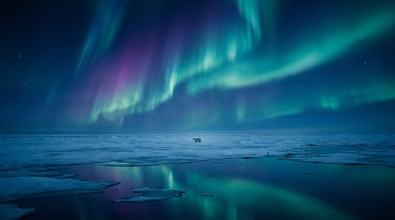 Polar Funded