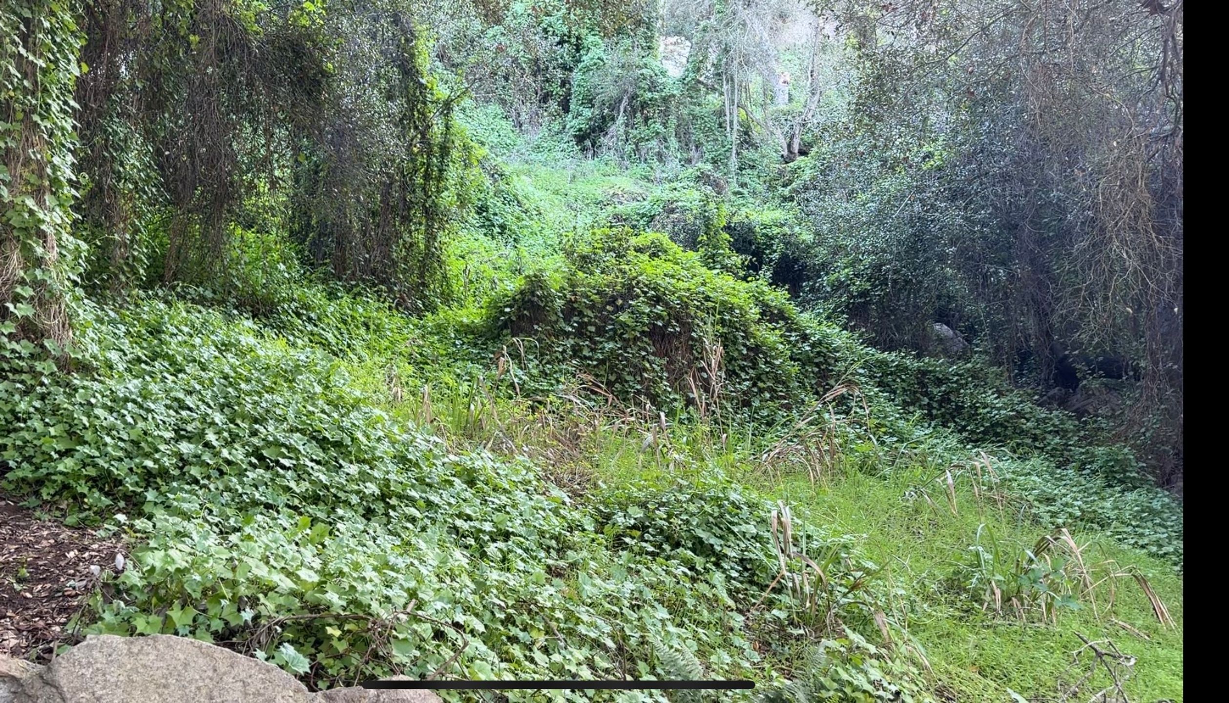 Garden of Marissa