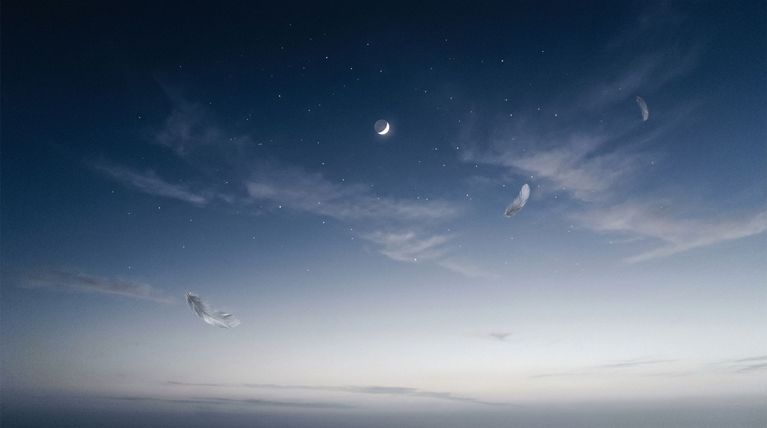 SilverVeil Verse
