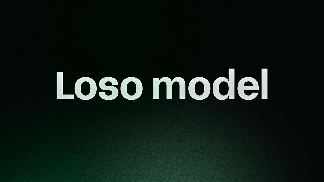 Loso model 