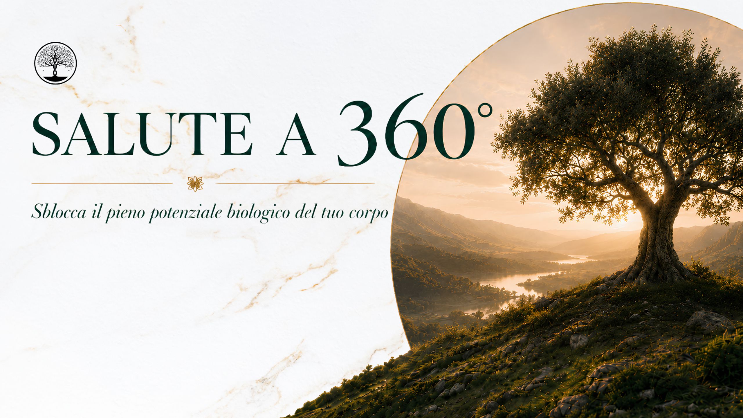 Salute a 360°