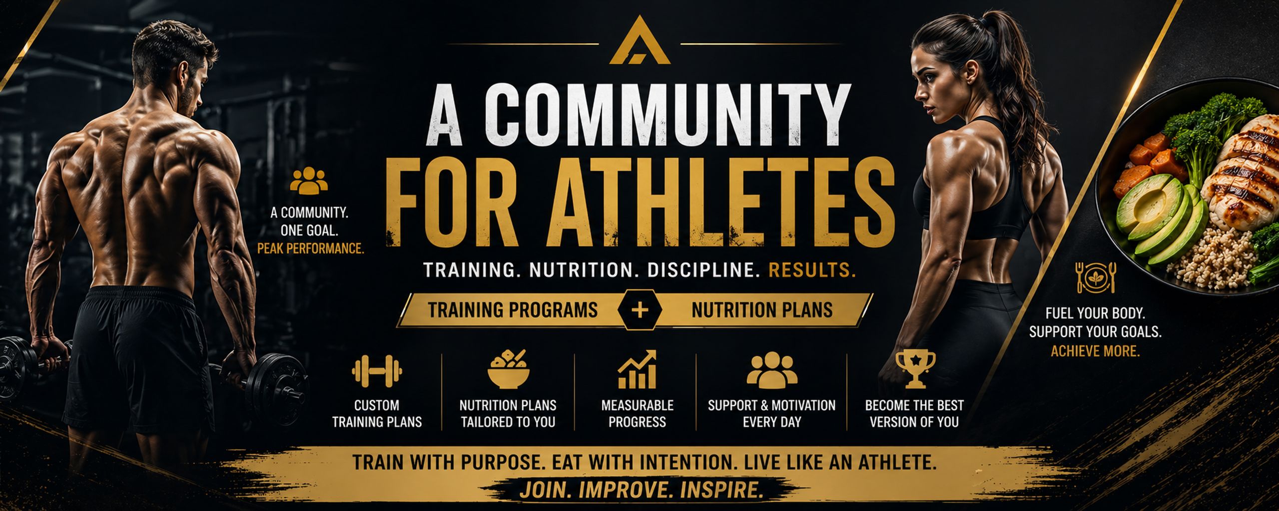 Hybrid athlete project