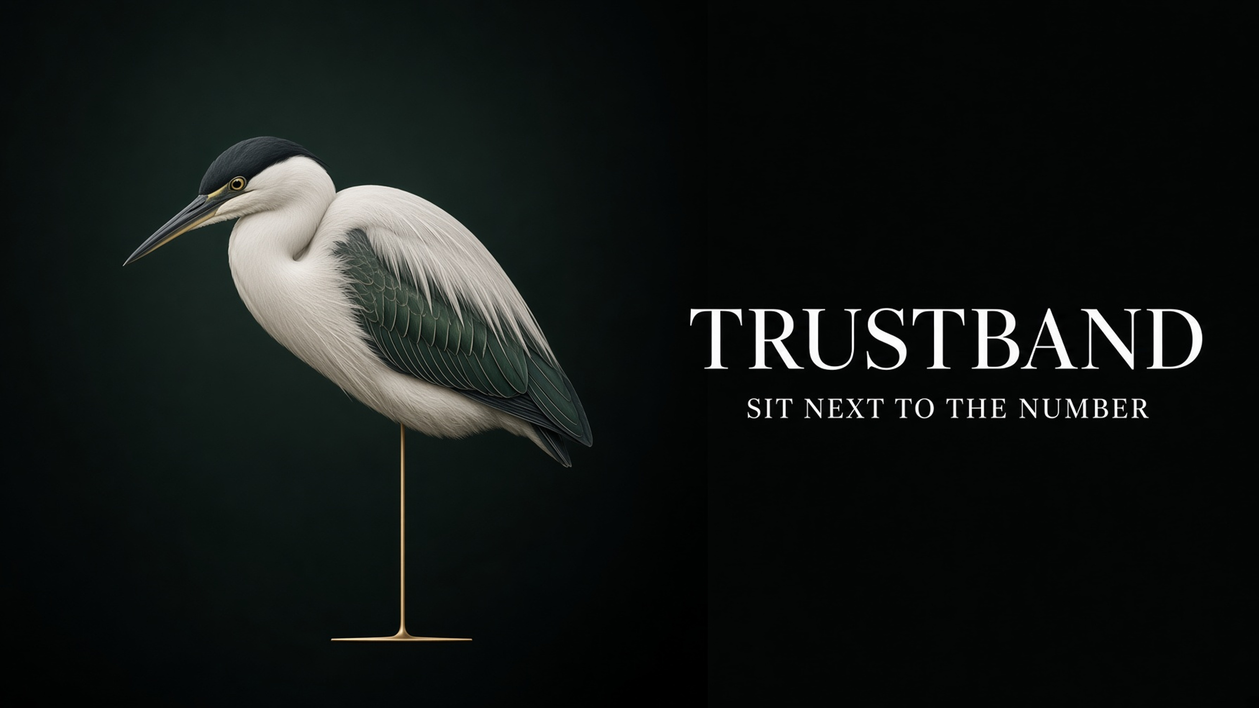 TrustBand