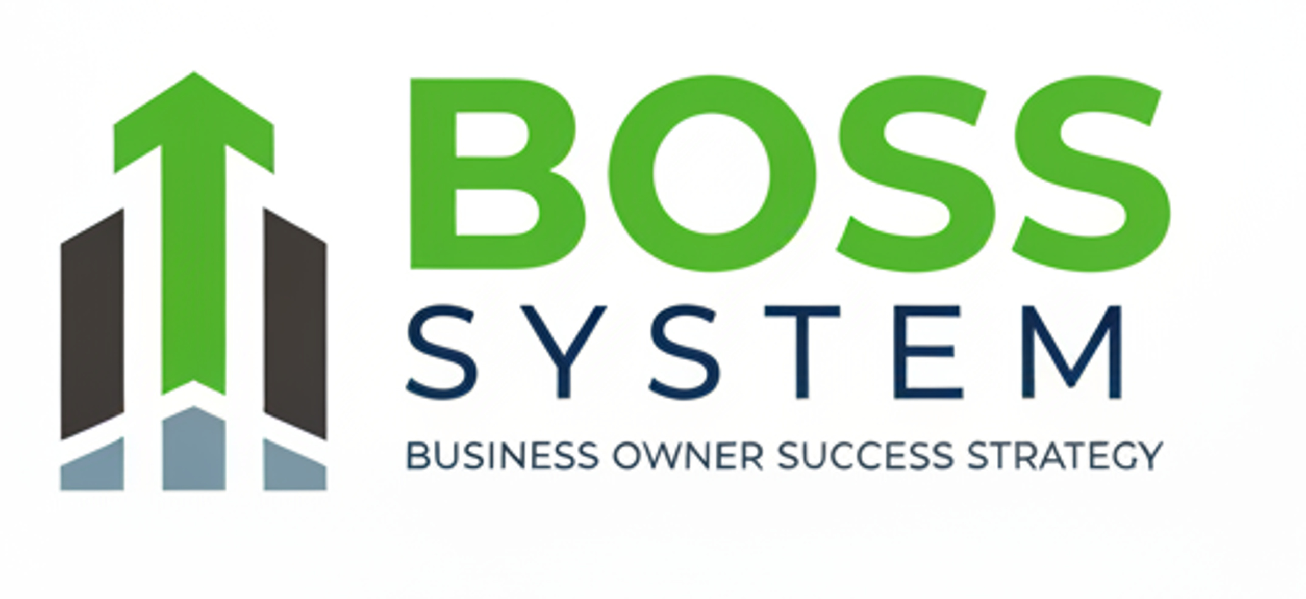 BOSS System 