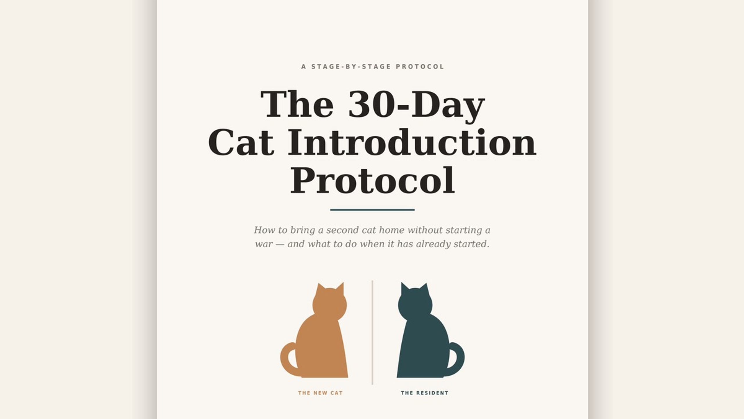 Cat Bible