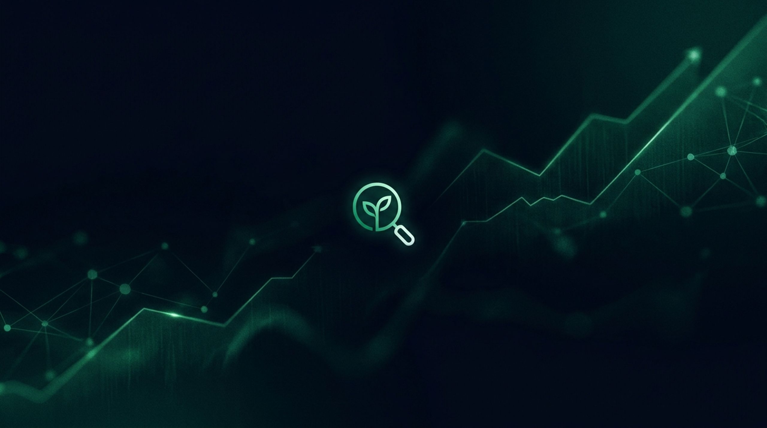 SEO & Organic Growth Retainer