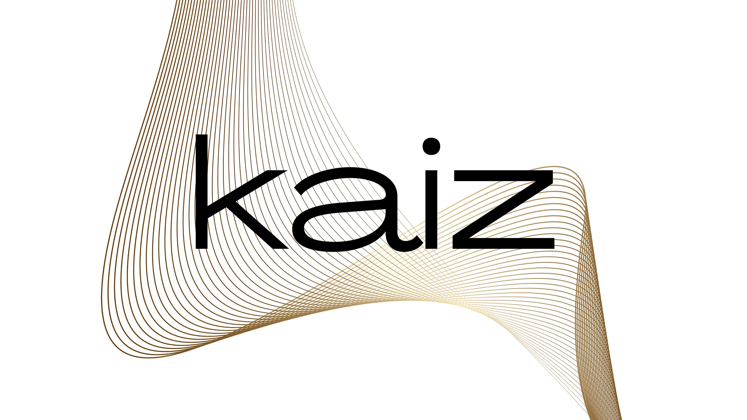 Kaiz Solutions