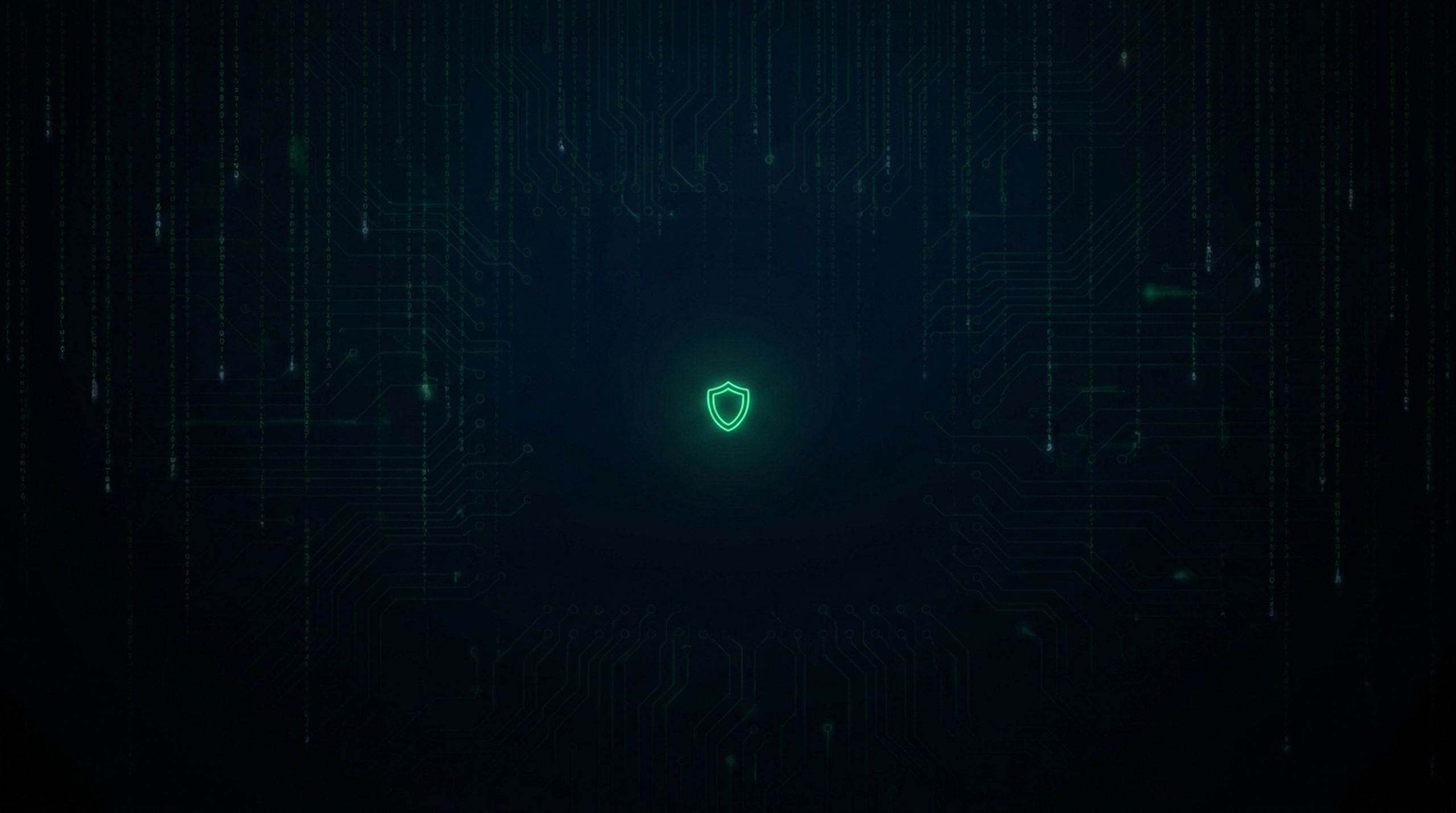 HackedOrNot