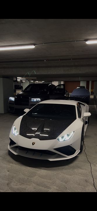 Viral Car Clips Bundle