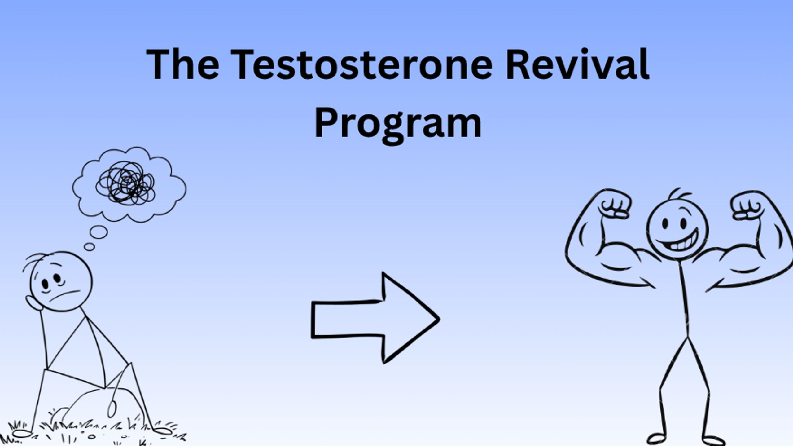 Testosterone Revival Program