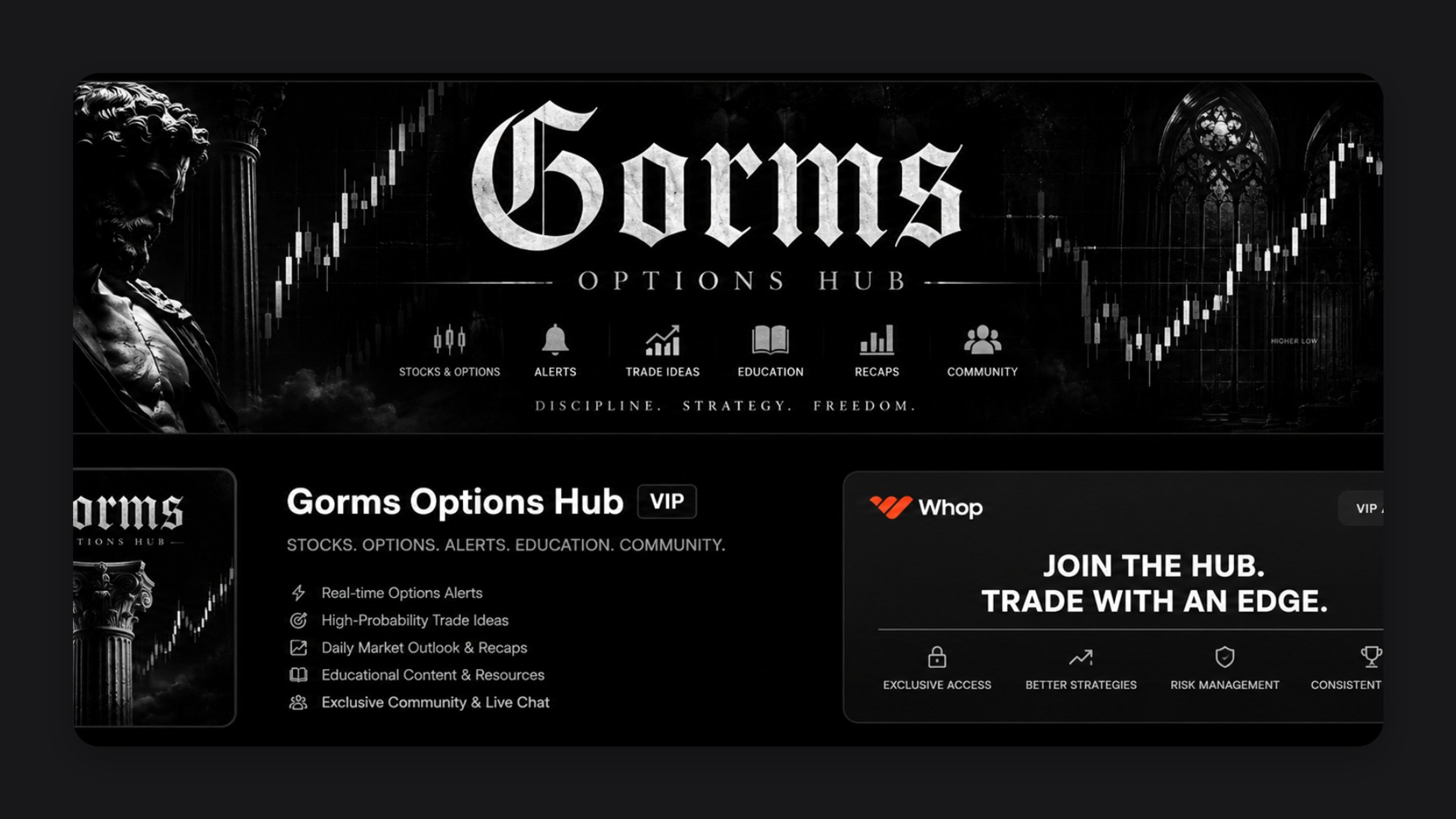 Gorm Options Hub