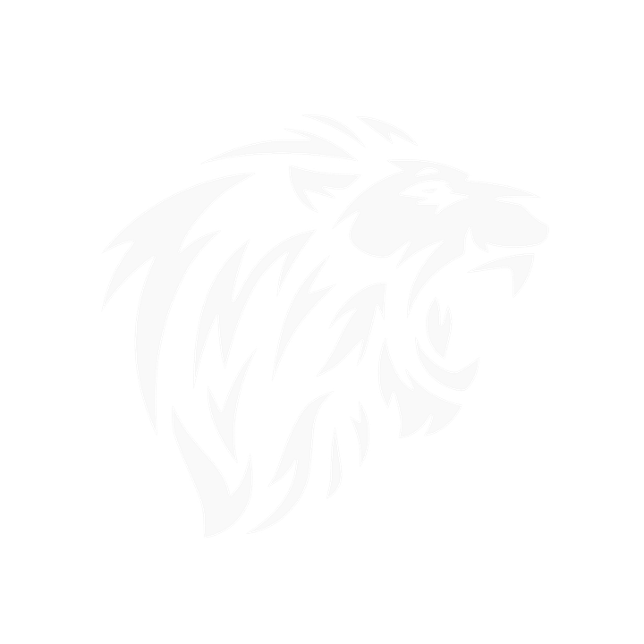 TRIUMFIT LLC