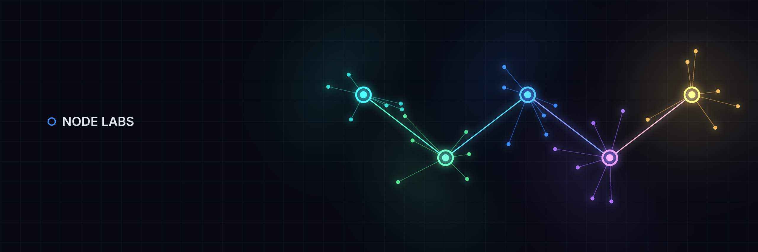 Node Labs
