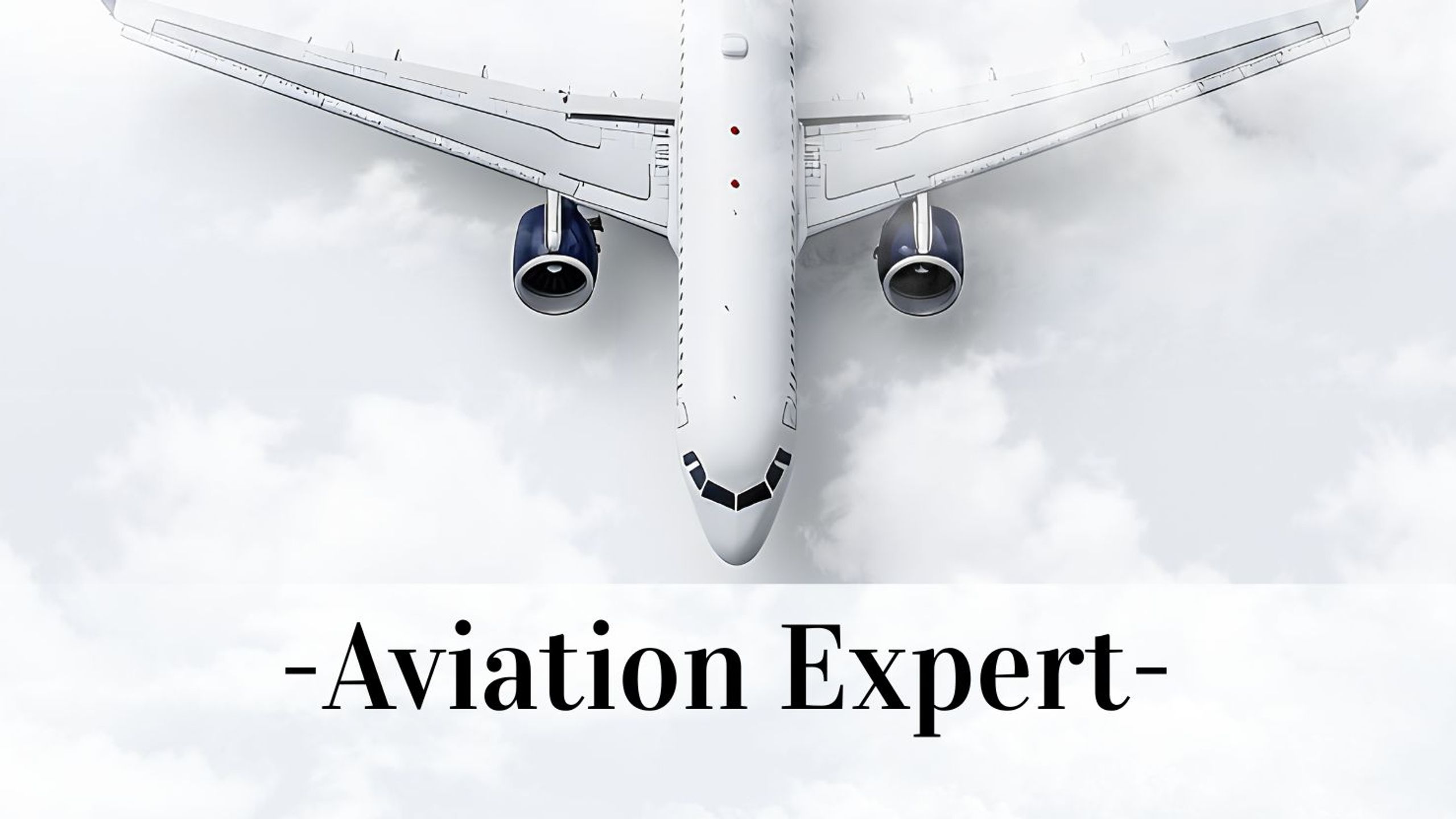 Aviation Expert