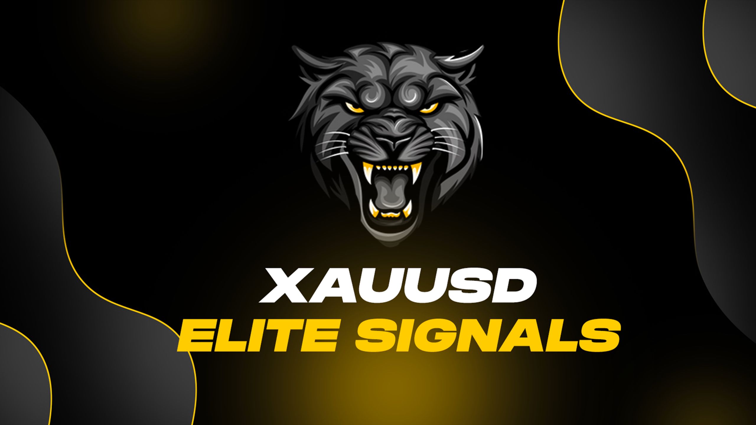 XAUUSD ELITE SIGNALS