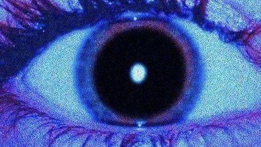 Scaling to Profitability 