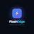 FlashEdge logo