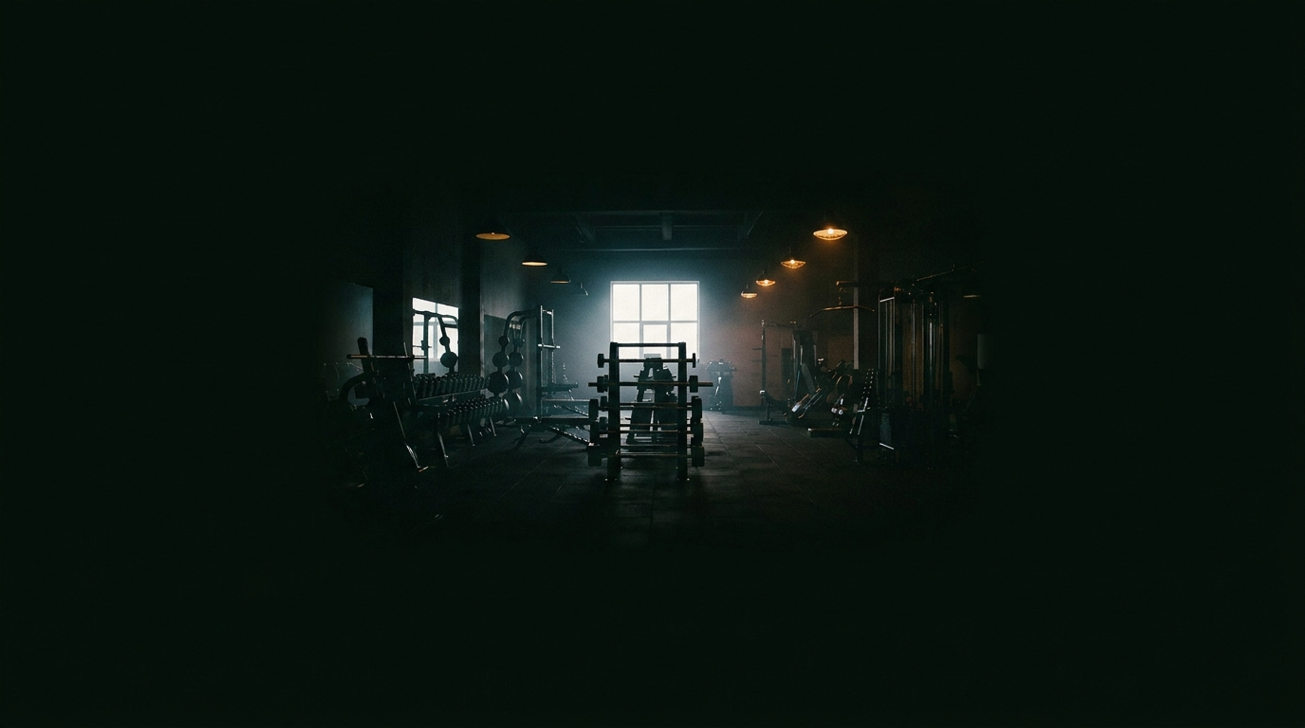 Apex Fitness
