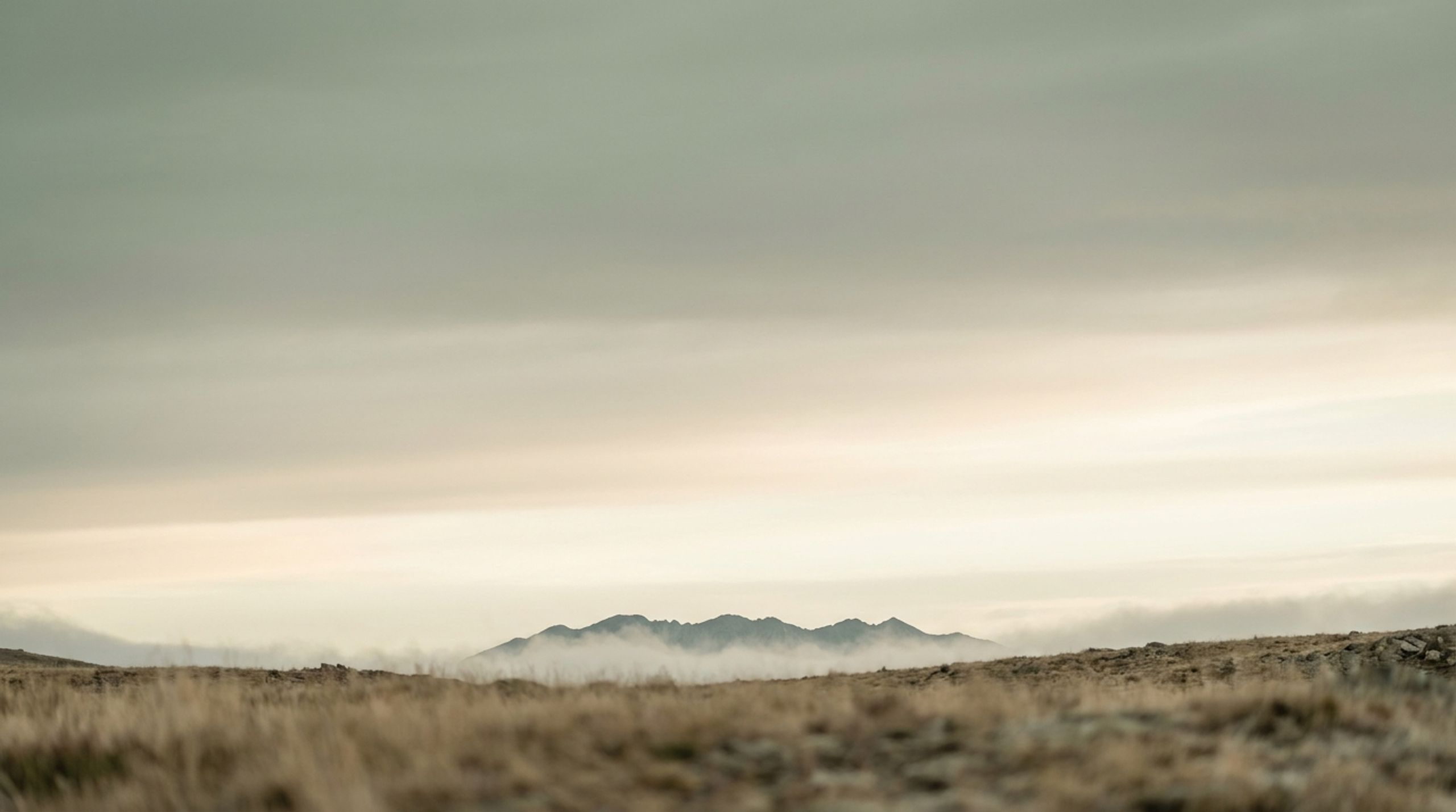 Ridgeline Collective