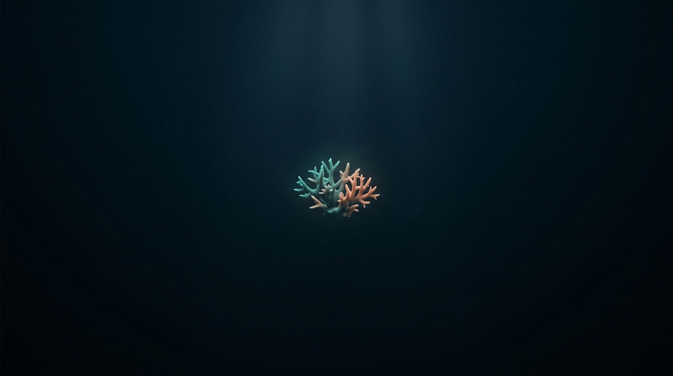 ReefProtocolSystems