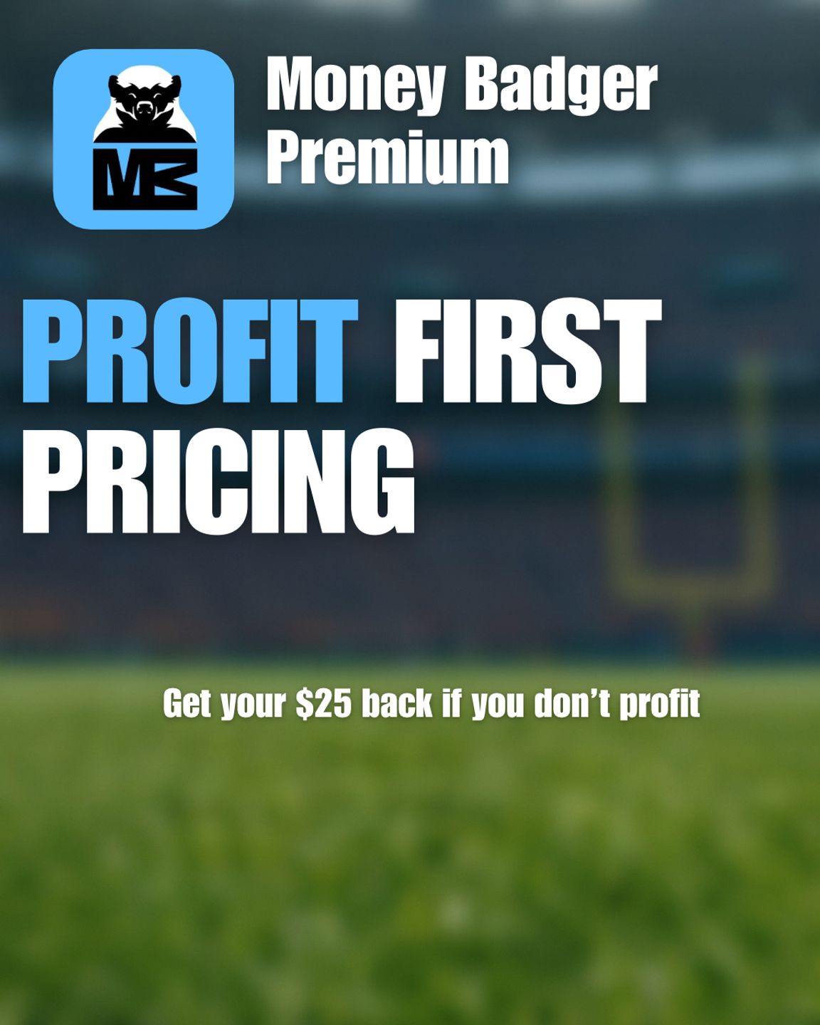 MoneyBadger Premium