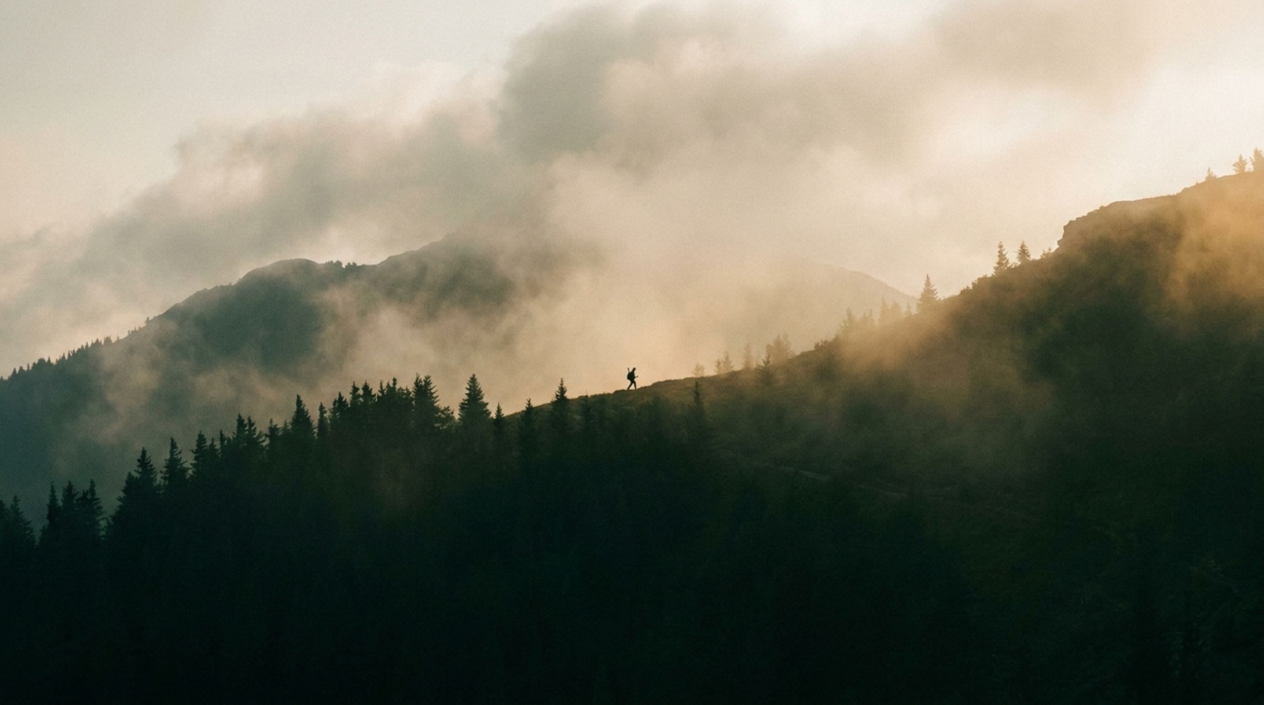 Ridgeline Gear Co.