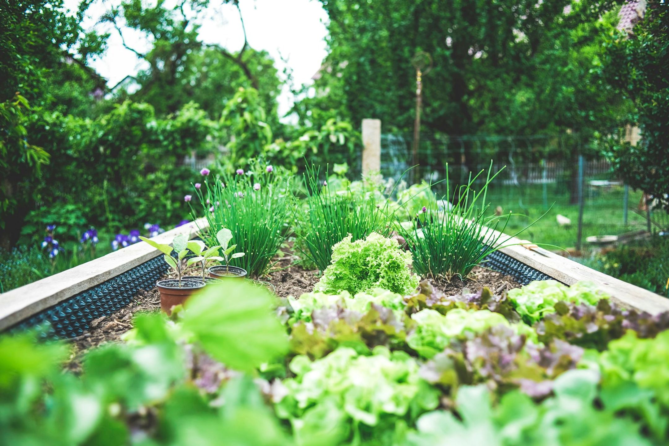 Cursojardineria